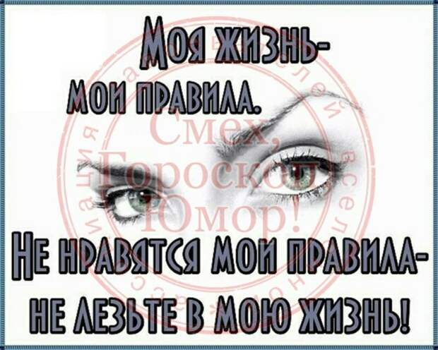 Веселые истории о нас (очередной выпуск)