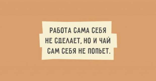 Искрометный юмор в забавных высказываниях (20 картинок)