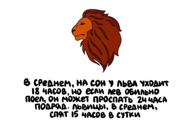 Короткие интересные факты обо всем