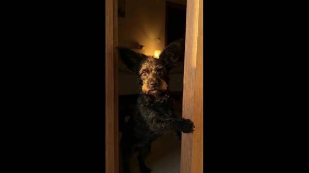 Спокойной ночи, Донецк https://t.me/webmoney_dn/319797Video: Клип