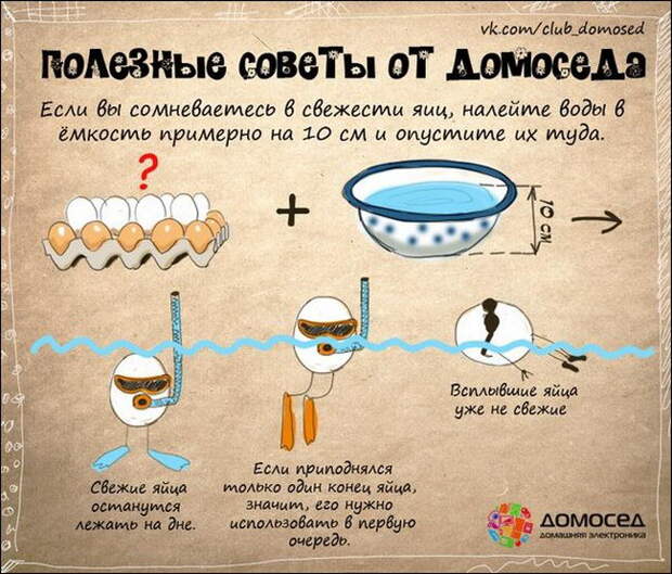 Хозяйке на заметку: Полезные советы от Домоседа (19 картинок)