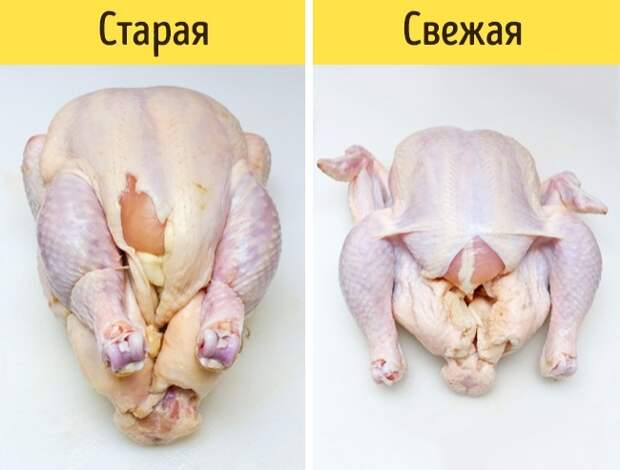 Как отличить свежее от несвежего Как отличить свежее от несвежего
