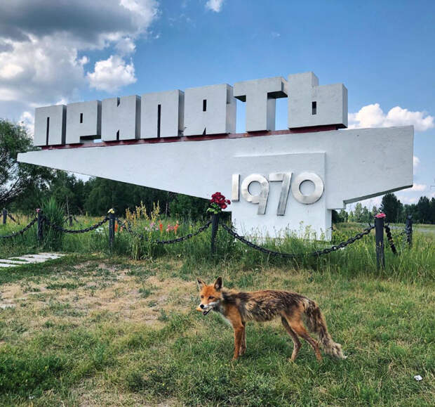 Припять сегодня