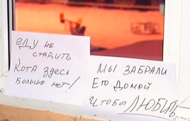 Самые шедевральные объявления из подъездов