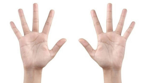 Длина пальцев решает многое. / Фото: ichef.bbci.co.uk