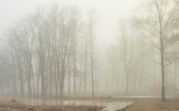 Рязанцев предупредили об утреннем тумане 18 апреля