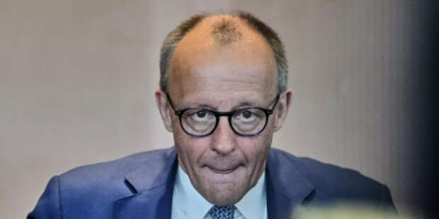 АдГ обвинила Мерца в распродаже интересов Германии ради Зеленского