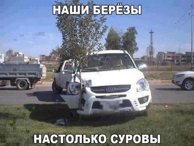 Новые АВТОприколы (35 фото)