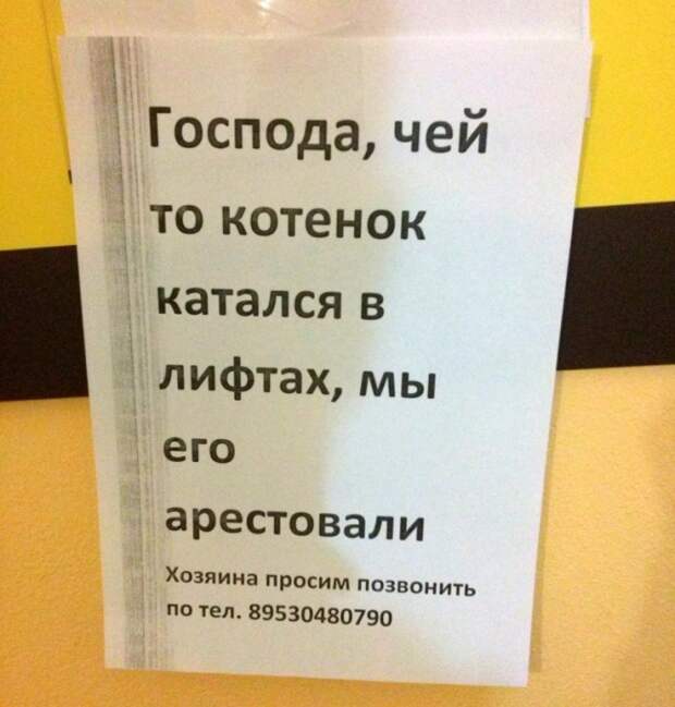 Объявление