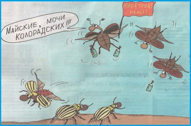 ВИннЕГРЕТ 62 ВИннЕГРЕТ 62