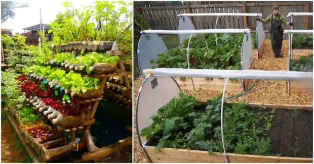 Украшаем огород и получаем крутой урожай: идеи красивых грядок