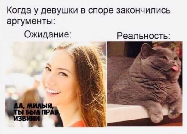 Не поспоришь картинки