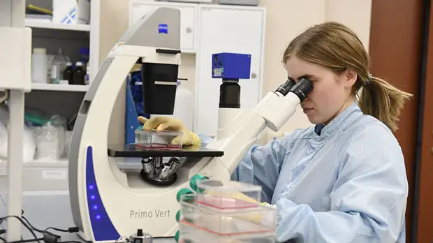 «Будут определены наиболее перспективные прототипы»: российские учёные начали испытания вакцины против COVID-19