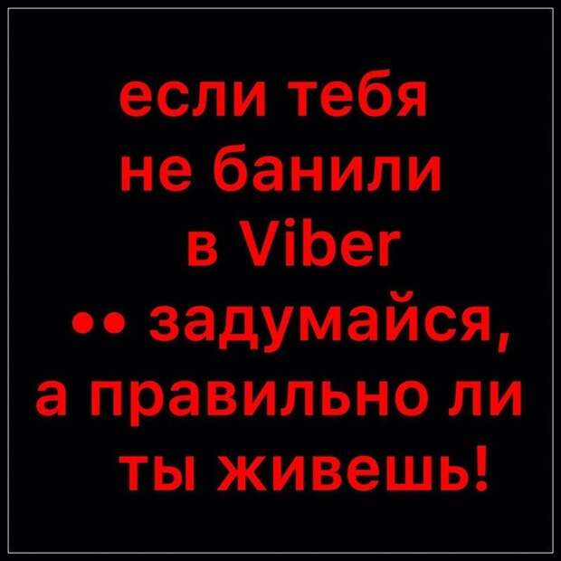 Веселые истории о нас (очередной выпуск)