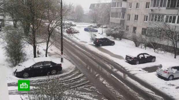 За сутки в Москве выпало почти 25% месячной нормы осадков