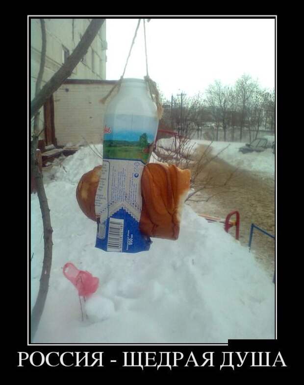 Демотиваторы (30 фото)