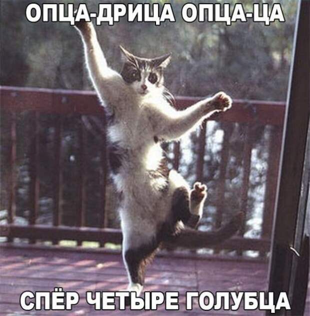 Картинки, юмор, приколы