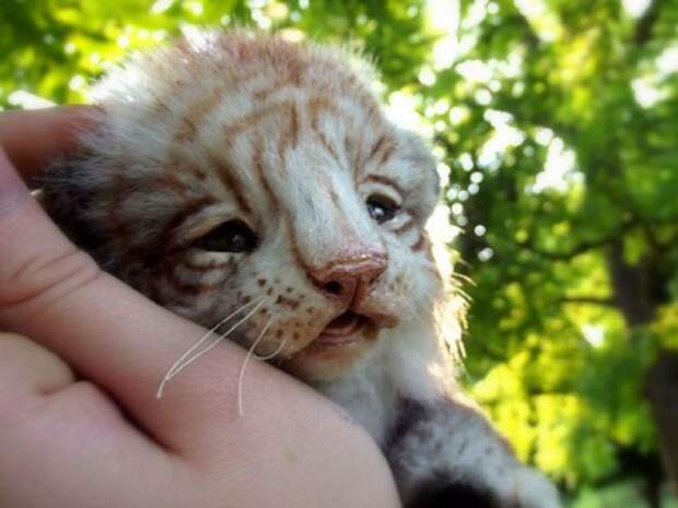 Невероятно реалистичные мягкие игрушки от Ли Кросс (18 фото)