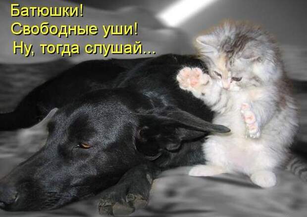 Мысли вслух :)