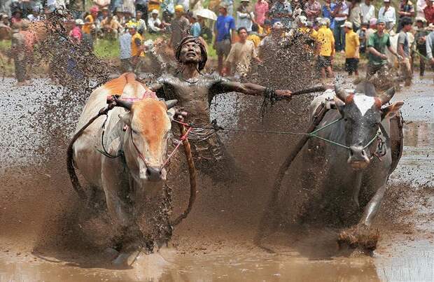 557997_10151447799714775_871309844_n