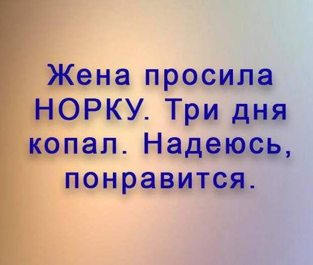 Охотник в лесу убил огромного лося. На выстрел поспешил егерь-охотовед...