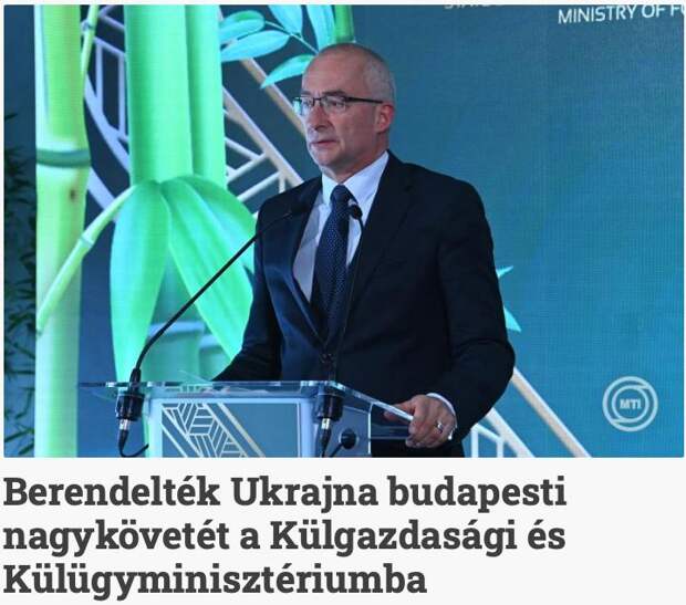 🇭🇺☠️🇺🇦 Венгра забили до смерти при мобилизации на Закарпатье – МИД Венгрии