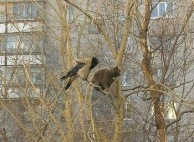 Эх, хорошо сидим!