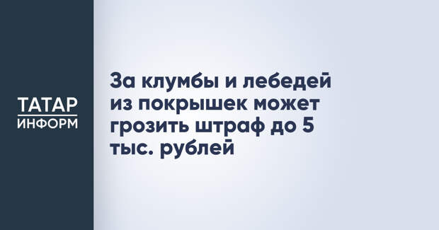За клумбы и лебедей из покрышек может грозить штраф до 5 тыс. рублей