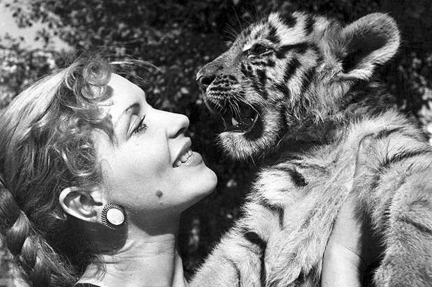 Народная артистка РСФСР, укротительница тигров Маргарита Назарова с двухмесячным тигрёнком. 1954 год.