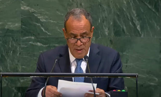 В Египте объяснили, почему Россия и Китай не приехали на саммит по Газе