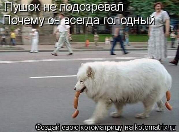 Мысли вслух :)