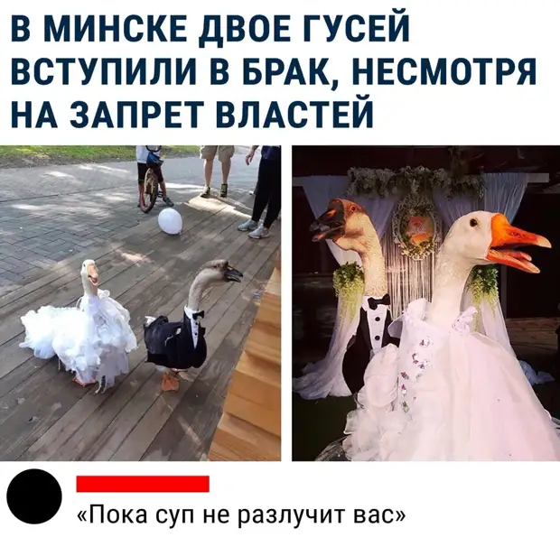 На въезде в Одессу патрульный останавливает авто...