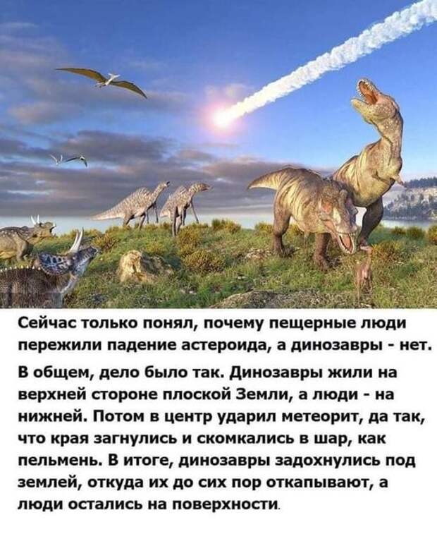 На изображении может находиться: текст «сейчас только понял, почему пещерные люди пережили падение астероида, a динозавры нет. в общем, дело было так. динозавры жили на верхней стороне плоской земли, a люди на нижней. потом в центр ударил метеорит, да так, что края загнулись и скомкались в шар, как пельмень. в итоге, динозавры задохнулись под землей, откуда их до сих пор откапывают, a люди остались на поверхности.»