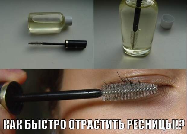 Картинки по запросу РАСТИШКА ДЛЯ РЕСНИЦ