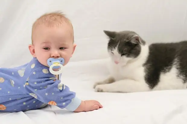 21 очаровательная фотография малышей в компании котов