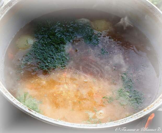УХА из водки с головёшкой Еда, Уха, Уха на костре, Рыба, Тройная уха, Длиннопост