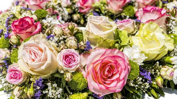 flowers-3441662_960_720 alt