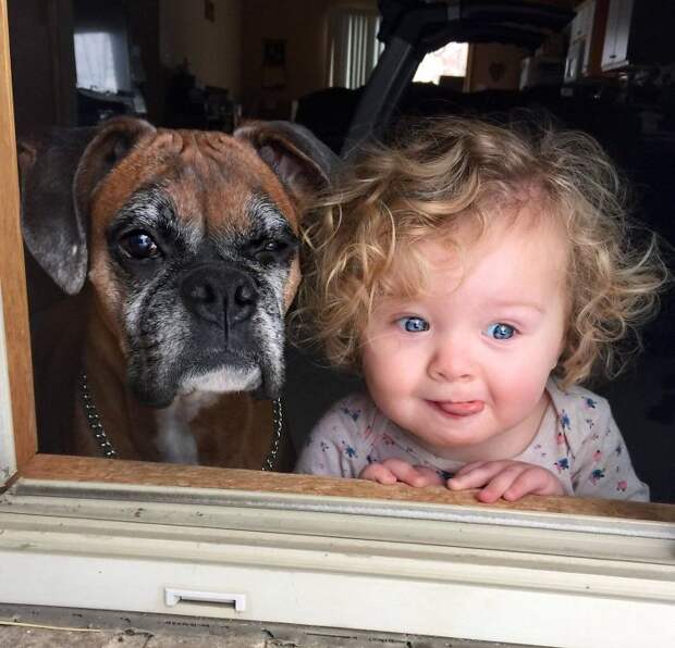 My Daughter And Dog Checking Out The First Snow Of The Season