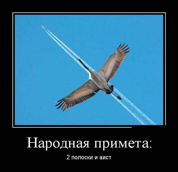 Демотиваторы (30 фото) Демотиваторы (30 фото)