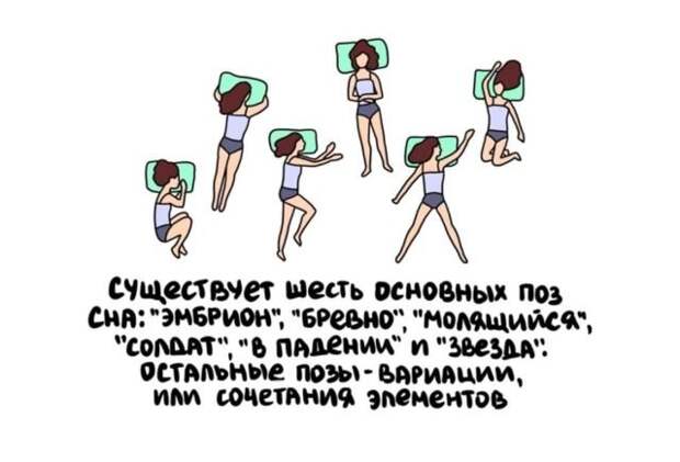 Короткие интересные факты обо всем
