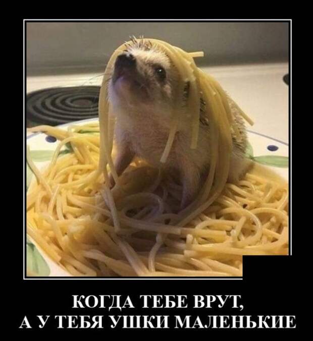 Демотиватор про лапшу