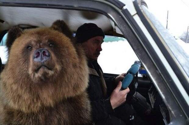 А что вы хотите, Россия медведи, россия, то и делают, что хотят