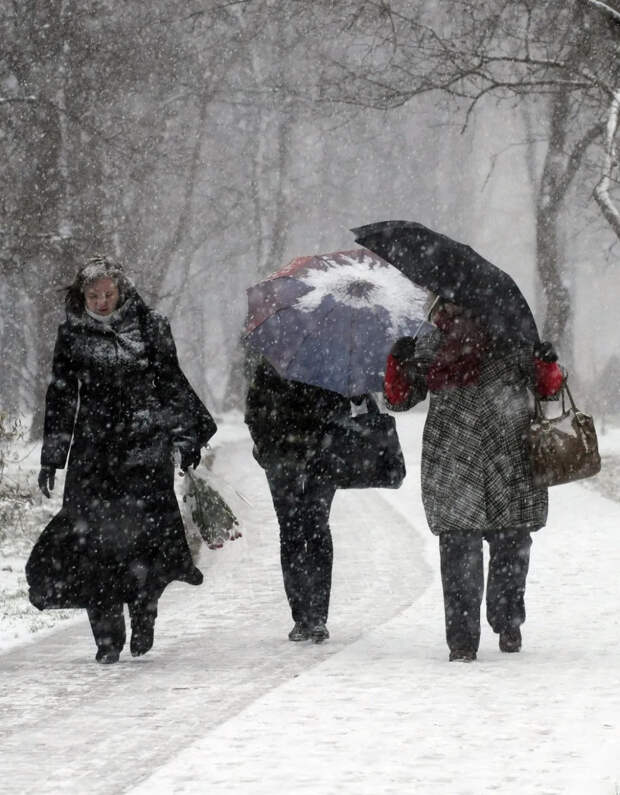 Грядут самые морозные выходные: прогноз погоды в Петербурге