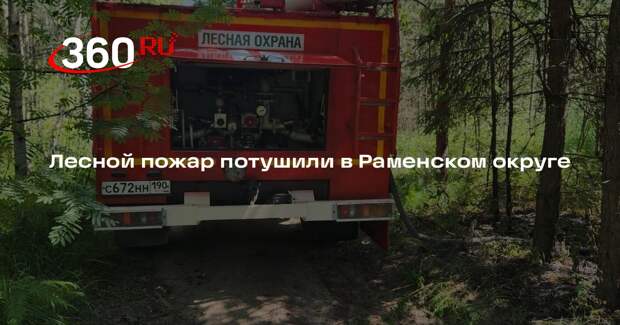 Лесной пожар потушили в Раменском округе