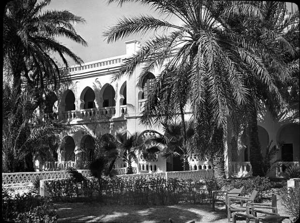 Алжир, Эль-Голеа. Алжир, Эль-Голеа.