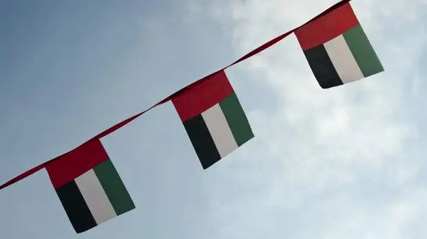 В ОАЭ ужесточили наказание за пропаганду терроризма в интернете