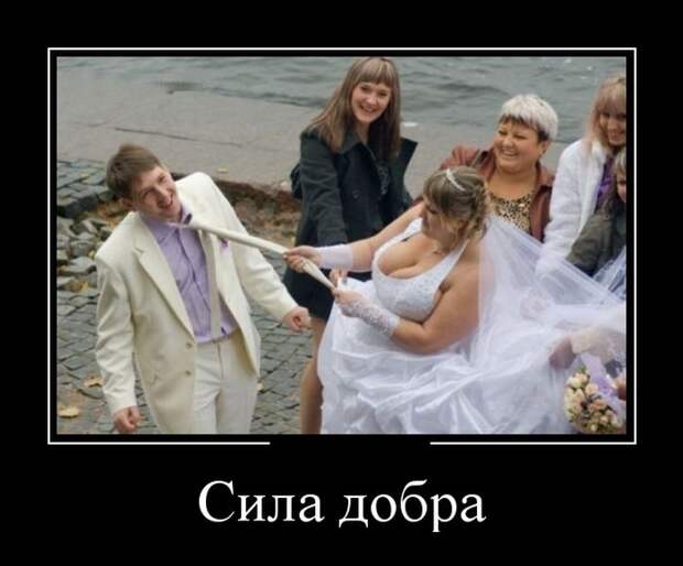 Демотиваторы (30 фото)