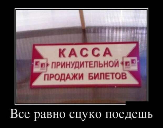 9.  Анекдоты, девушки, демотиваторы, животные, прикол, юмор