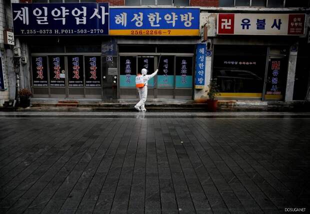 Свежие фотографии, сделанные в Южной Корее