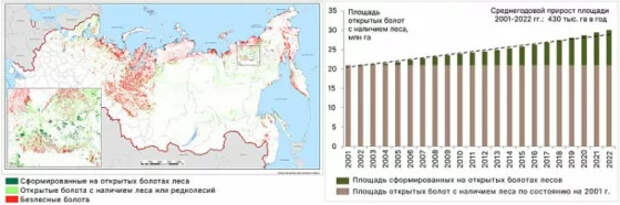 Как болота в России зарастают лесами, оценили в ИКИ РАН
